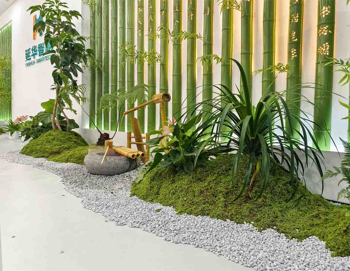 绿植租赁|打造一个别致新颖的室内景观！