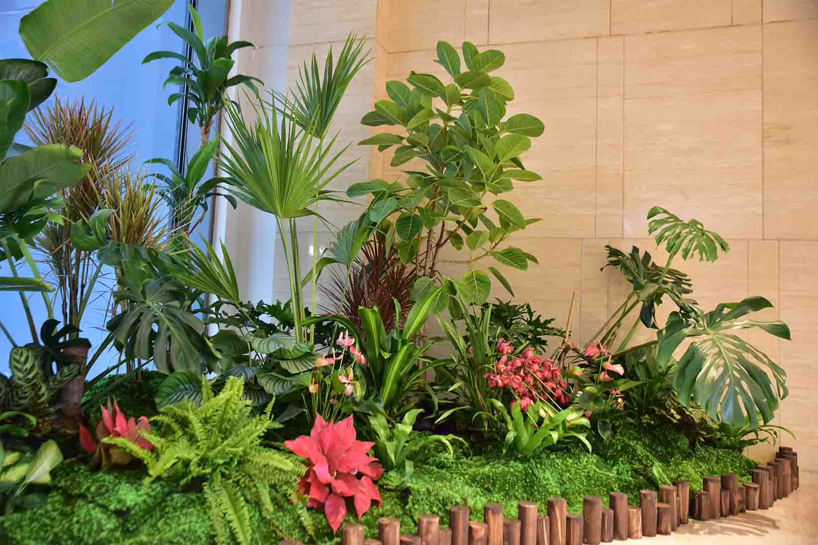室内植物造景丨让家里充满大自然的气息。