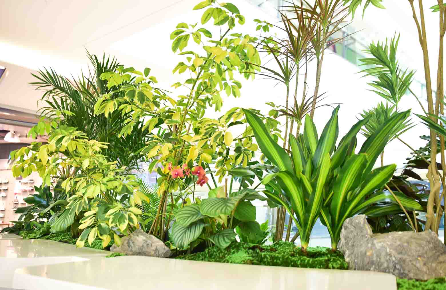 高档商场植物造景丨休息椅与植物结合